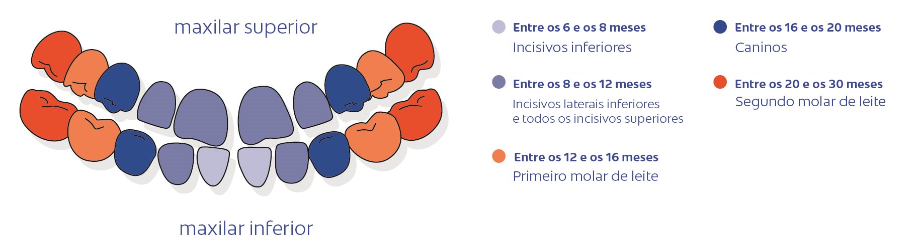 explicação de saúde infantil