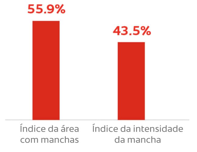 Elimina as manchas