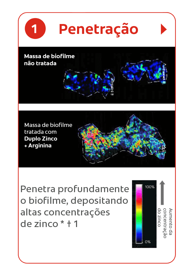 Penetração